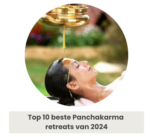 Blog: Top 10 beste Panchakarma retreats van 2024