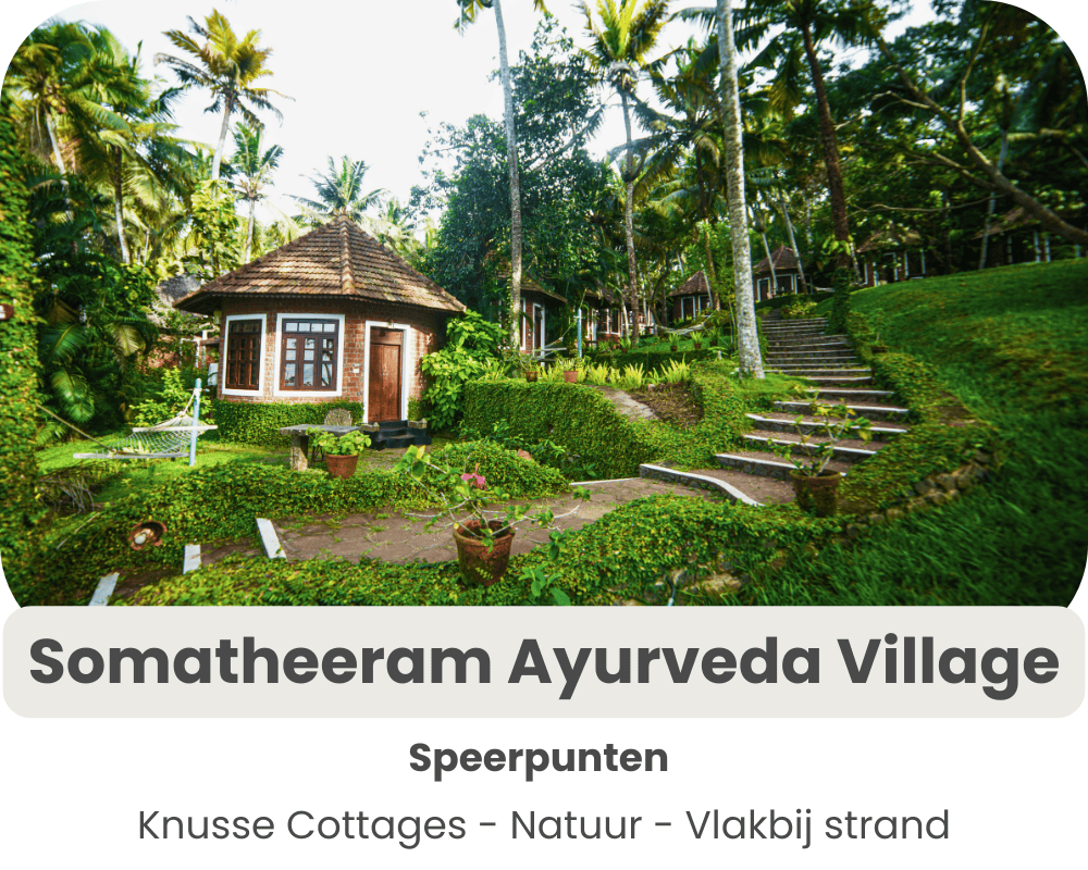 Somatheeram Ayurveda Village